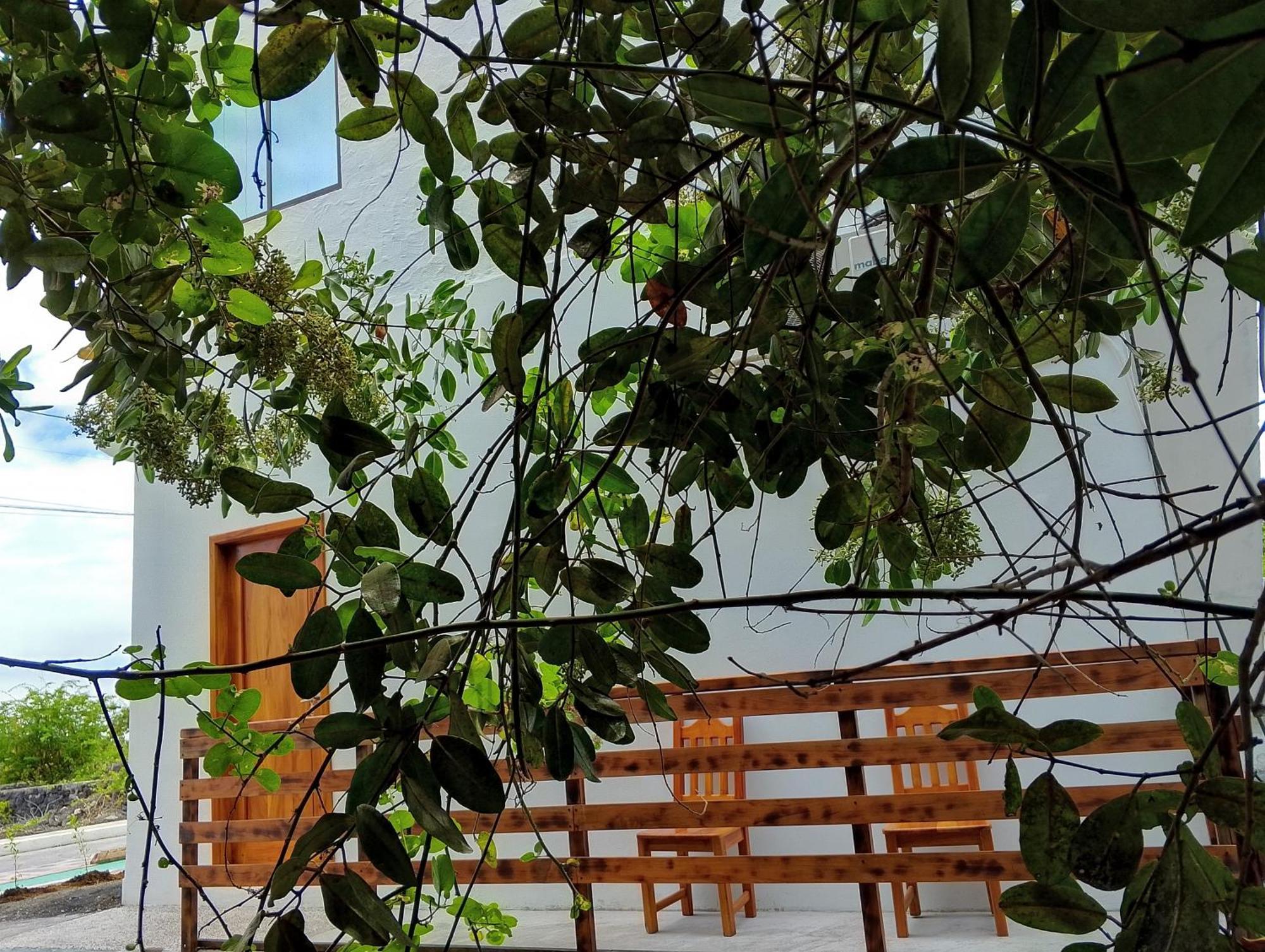 Canario Puerto Villamil Exterior photo