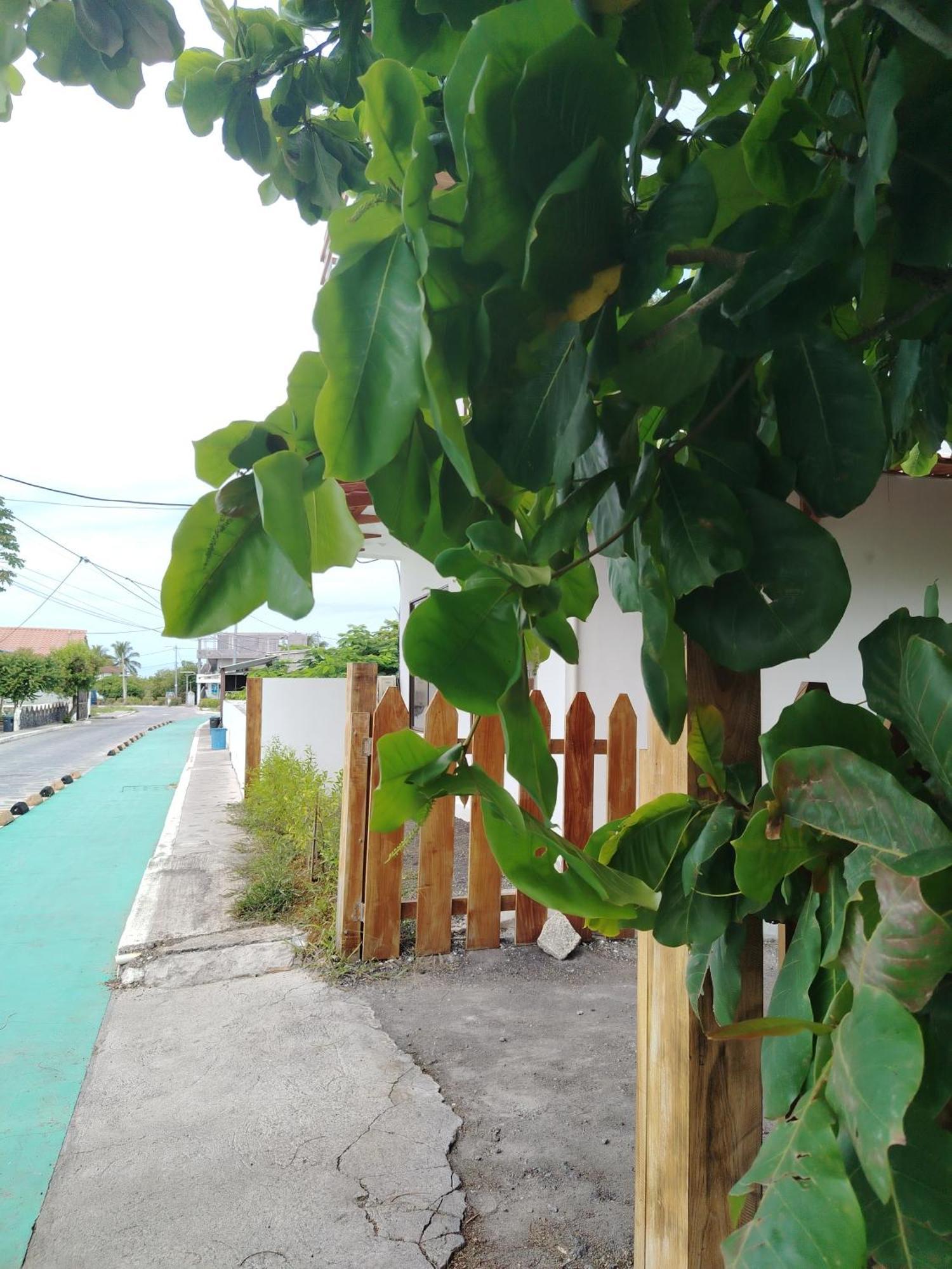 Casa Almendro Puerto Villamil Exterior photo